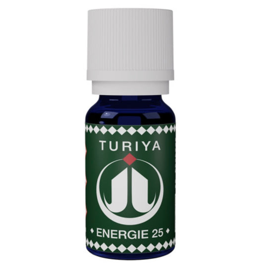 Synergie Hivernale Énergie 25 – Intégration & Co-création 10ml